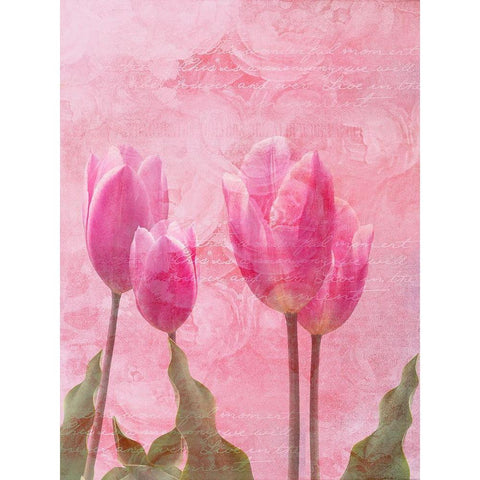 Tulip Love 2 Black Modern Wood Framed Art Print with Double Matting by Lewis, Sheldon