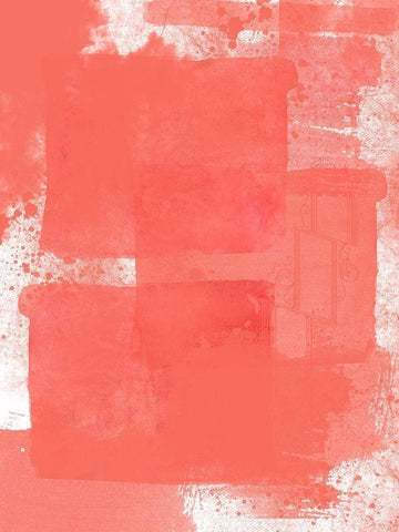 Coral Peddle White Modern Wood Framed Art Print with Double Matting by Lewis, Sheldon