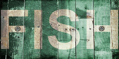 Fish White Modern Wood Framed Art Print with Double Matting by Lewis, Sheldon