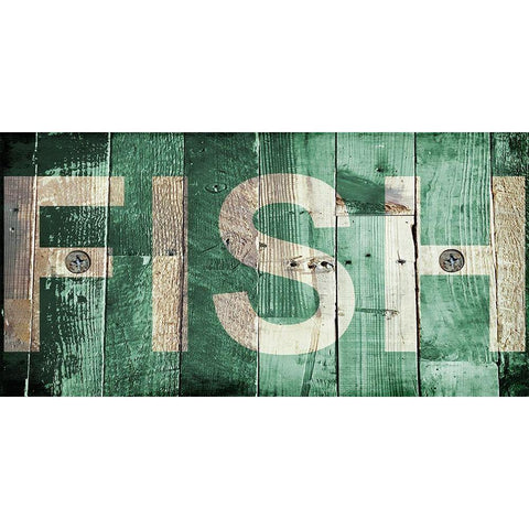 Fish Black Modern Wood Framed Art Print with Double Matting by Lewis, Sheldon