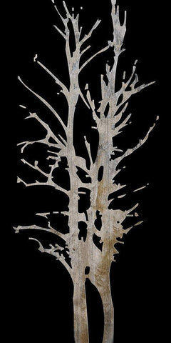 Twin Twigs Black Ornate Wood Framed Art Print with Double Matting by Lewis, Sheldon