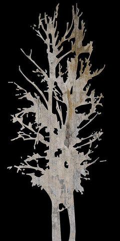 Twin Twigs 2 Black Ornate Wood Framed Art Print with Double Matting by Lewis, Sheldon