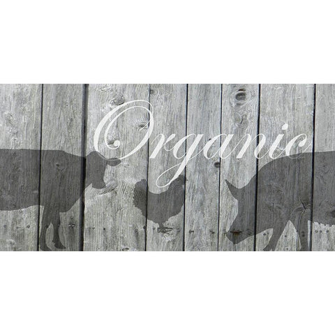 Organic Black Modern Wood Framed Art Print with Double Matting by Lewis, Sheldon