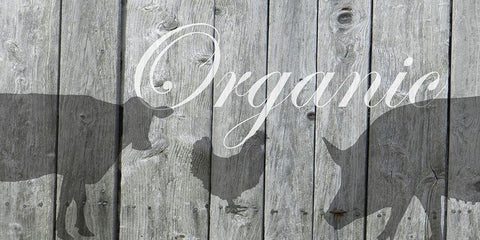 Organic White Modern Wood Framed Art Print with Double Matting by Lewis, Sheldon