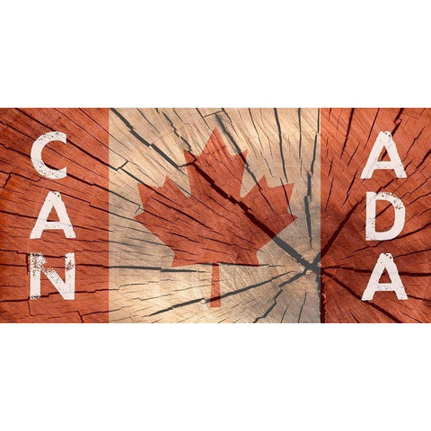 Canada White Modern Wood Framed Art Print by Lewis, Sheldon