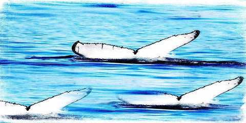 Whale Watching White Modern Wood Framed Art Print with Double Matting by Lewis, Sheldon
