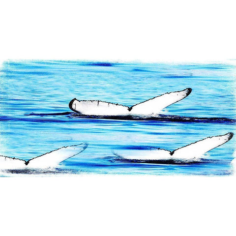 Whale Watching Black Modern Wood Framed Art Print by Lewis, Sheldon
