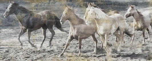 Image Only