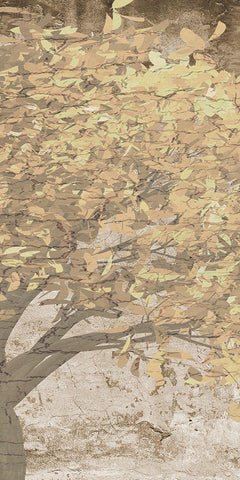 Natures Cluster 3 White Modern Wood Framed Art Print with Double Matting by Lewis, Sheldon