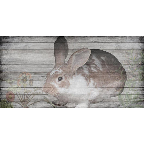 Hello Peter White Modern Wood Framed Art Print by Lewis, Sheldon