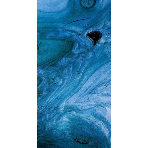 Martnique 2 Black Modern Wood Framed Art Print by Lewis, Sheldon