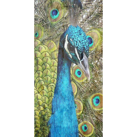 Colered Elegance 1 Black Modern Wood Framed Art Print by Lewis, Sheldon
