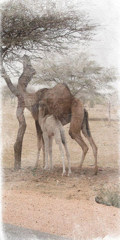 Family Dinner 2 Black Ornate Wood Framed Art Print with Double Matting by Lewis, Sheldon