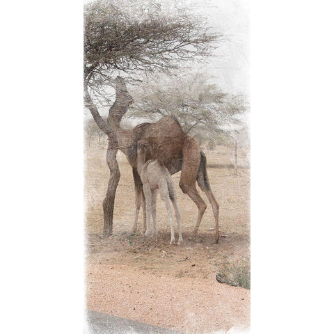 Family Dinner 2 Black Modern Wood Framed Art Print by Lewis, Sheldon