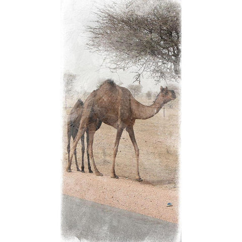 Family Dinner 3 White Modern Wood Framed Art Print by Lewis, Sheldon