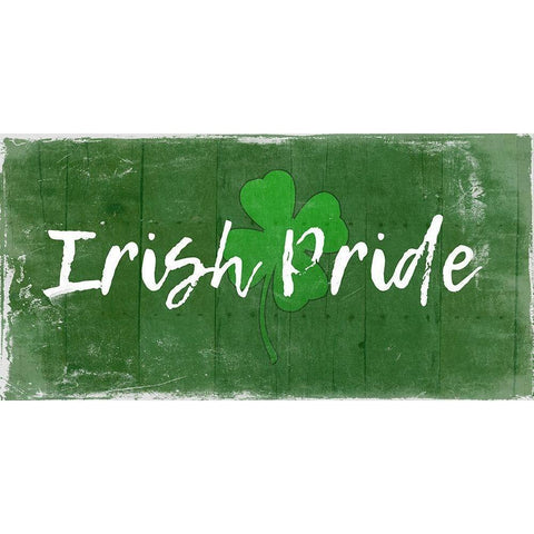 Irish Pride Black Modern Wood Framed Art Print with Double Matting by Lewis, Sheldon