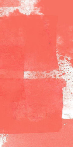 Coral Den 1 White Modern Wood Framed Art Print with Double Matting by Lewis, Sheldon