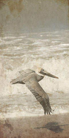Fly By The Coast Black Ornate Wood Framed Art Print with Double Matting by Lewis, Sheldon