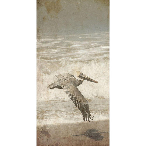 Fly By The Coast White Modern Wood Framed Art Print by Lewis, Sheldon