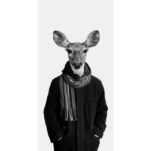 Big Buck BW Black Modern Wood Framed Art Print with Double Matting by Lewis, Sheldon