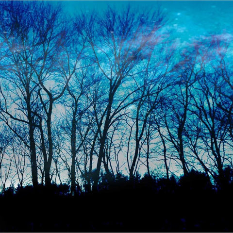 Blue Mountain 1 White Modern Wood Framed Art Print by Lewis, Sheldon