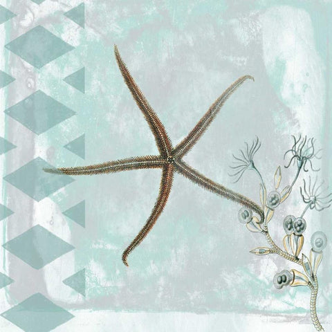 Tranquility 2 Black Modern Wood Framed Art Print by Lewis, Sheldon