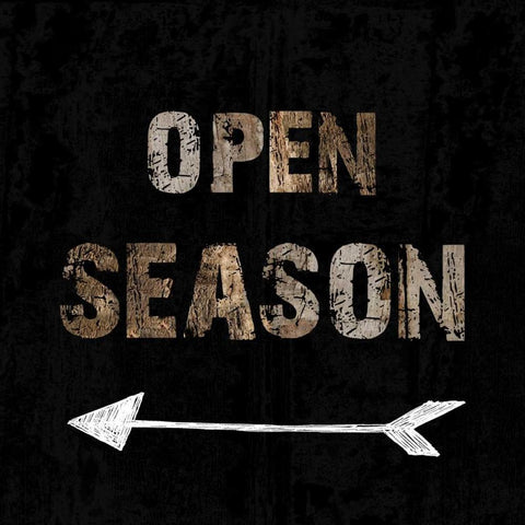 Open Season White Modern Wood Framed Art Print by Lewis, Sheldon