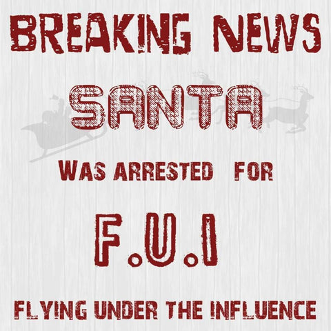 Santas FUI White Modern Wood Framed Art Print by Lewis, Sheldon
