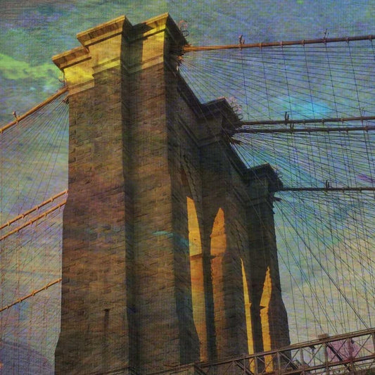 Image Only