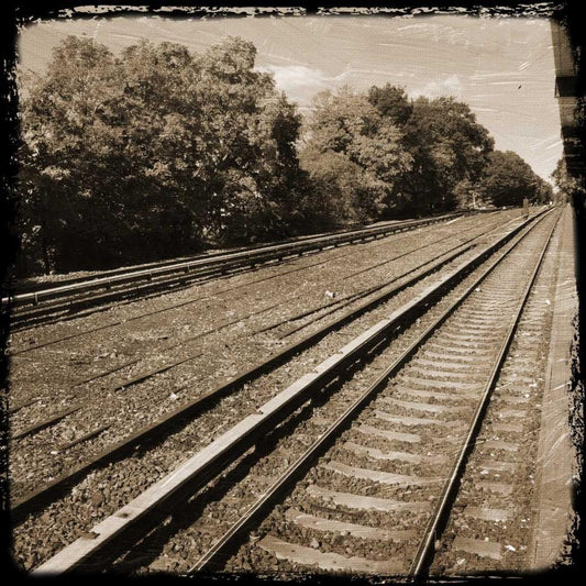 Image Only