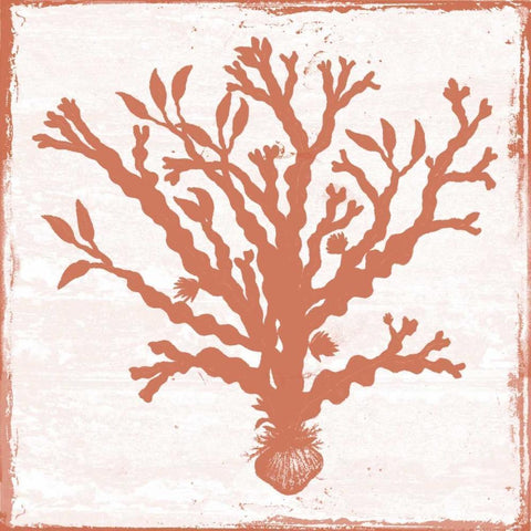 At The Coral Ocean White Modern Wood Framed Art Print with Double Matting by Lewis, Sheldon