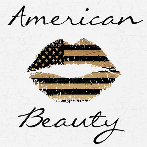 America Beauty Black Modern Wood Framed Art Print by Lewis, Sheldon