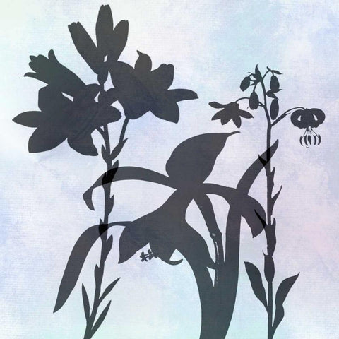 Silhoutette In Bloom Black Ornate Wood Framed Art Print with Double Matting by Lewis, Sheldon