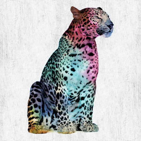 Majestic Cat White Modern Wood Framed Art Print with Double Matting by Lewis, Sheldon