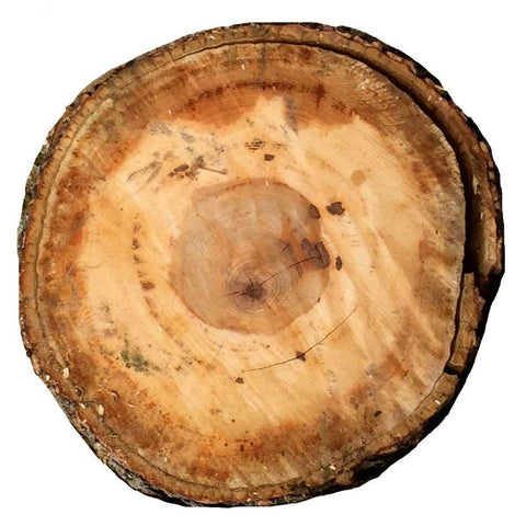 Earthy Rings Of Ages Black Modern Wood Framed Art Print by Lewis, Sheldon