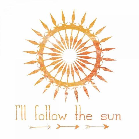 Follow The Sun Black Modern Wood Framed Art Print by Lewis, Sheldon