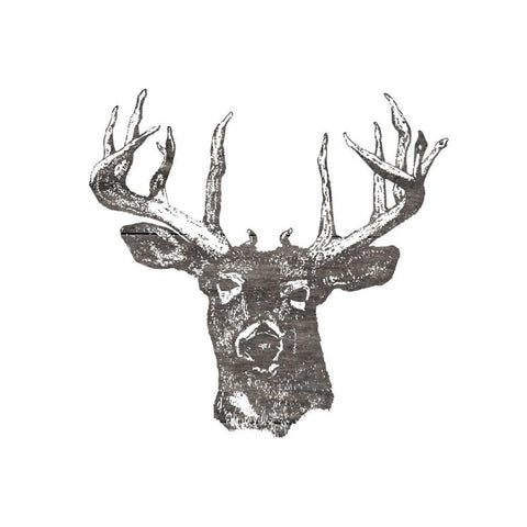 Big Buck White Modern Wood Framed Art Print with Double Matting by Lewis, Sheldon
