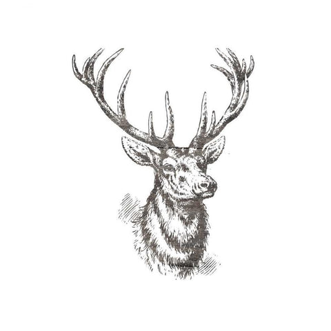 Big Buck 2 Black Modern Wood Framed Art Print by Lewis, Sheldon