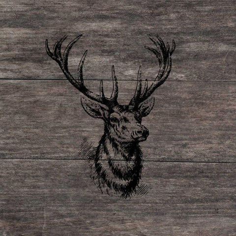 Another Buck Gold Ornate Wood Framed Art Print with Double Matting by Lewis, Sheldon