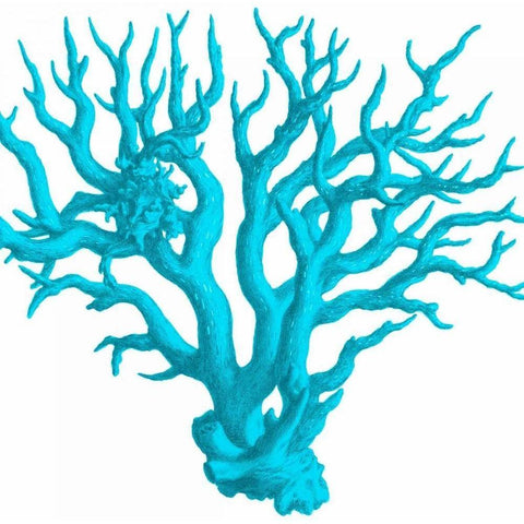 Blue Coral 3 Black Modern Wood Framed Art Print with Double Matting by Lewis, Sheldon