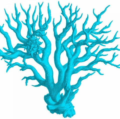 Blue Coral 3 White Modern Wood Framed Art Print with Double Matting by Lewis, Sheldon