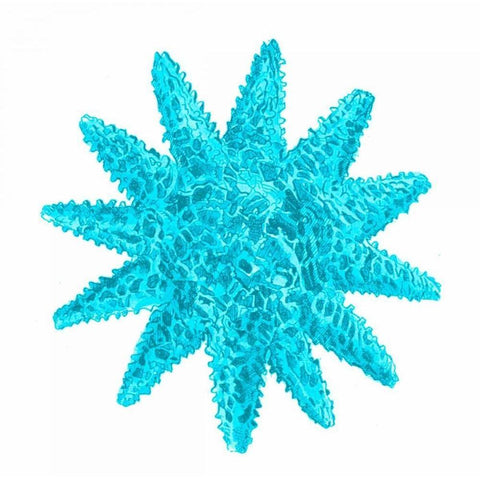 Blue Coral 5 White Modern Wood Framed Art Print by Lewis, Sheldon