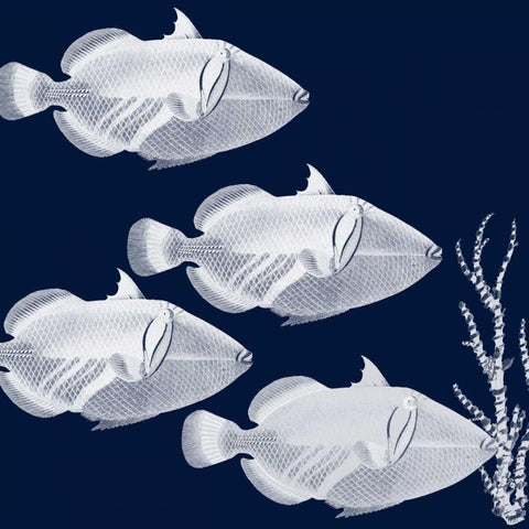 Coastal Orchestra White Modern Wood Framed Art Print by Lewis, Sheldon