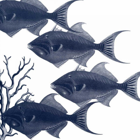 Coastal Symphony Black Modern Wood Framed Art Print by Lewis, Sheldon