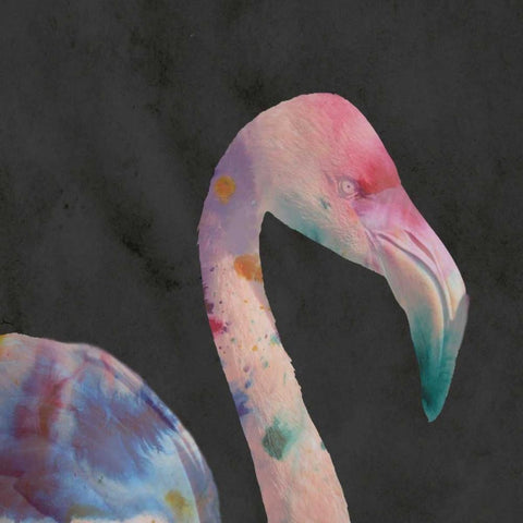 Colomingo 2 Gold Ornate Wood Framed Art Print with Double Matting by Lewis, Sheldon