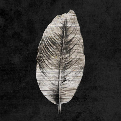 Leaf By The Spirit Black Modern Wood Framed Art Print with Double Matting by Lewis, Sheldon