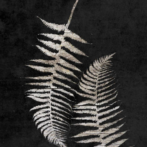 Leaf In The Moment 1 Black Modern Wood Framed Art Print with Double Matting by Lewis, Sheldon