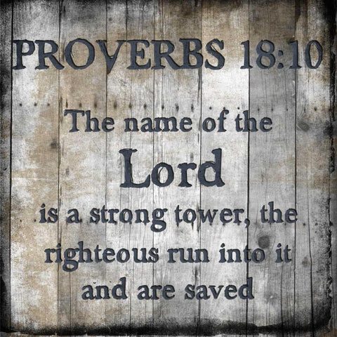 Proverbs 18-10 Black Modern Wood Framed Art Print with Double Matting by Lewis, Sheldon