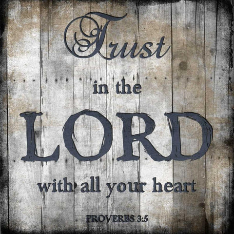 Proverbs 3-5 Black Modern Wood Framed Art Print with Double Matting by Lewis, Sheldon