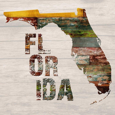 Florida Map White Modern Wood Framed Art Print by Lewis, Sheldon